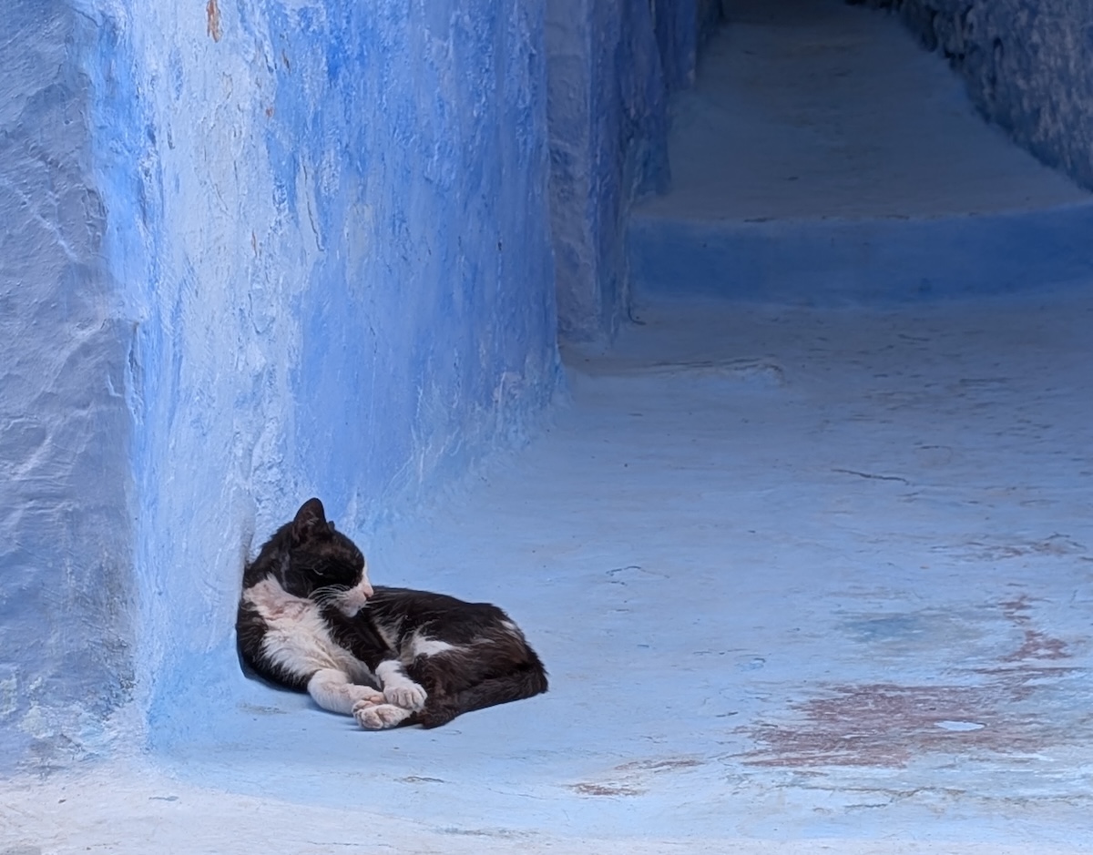 chefchaouen-blu-martino-de-mori-sportoutdoor24