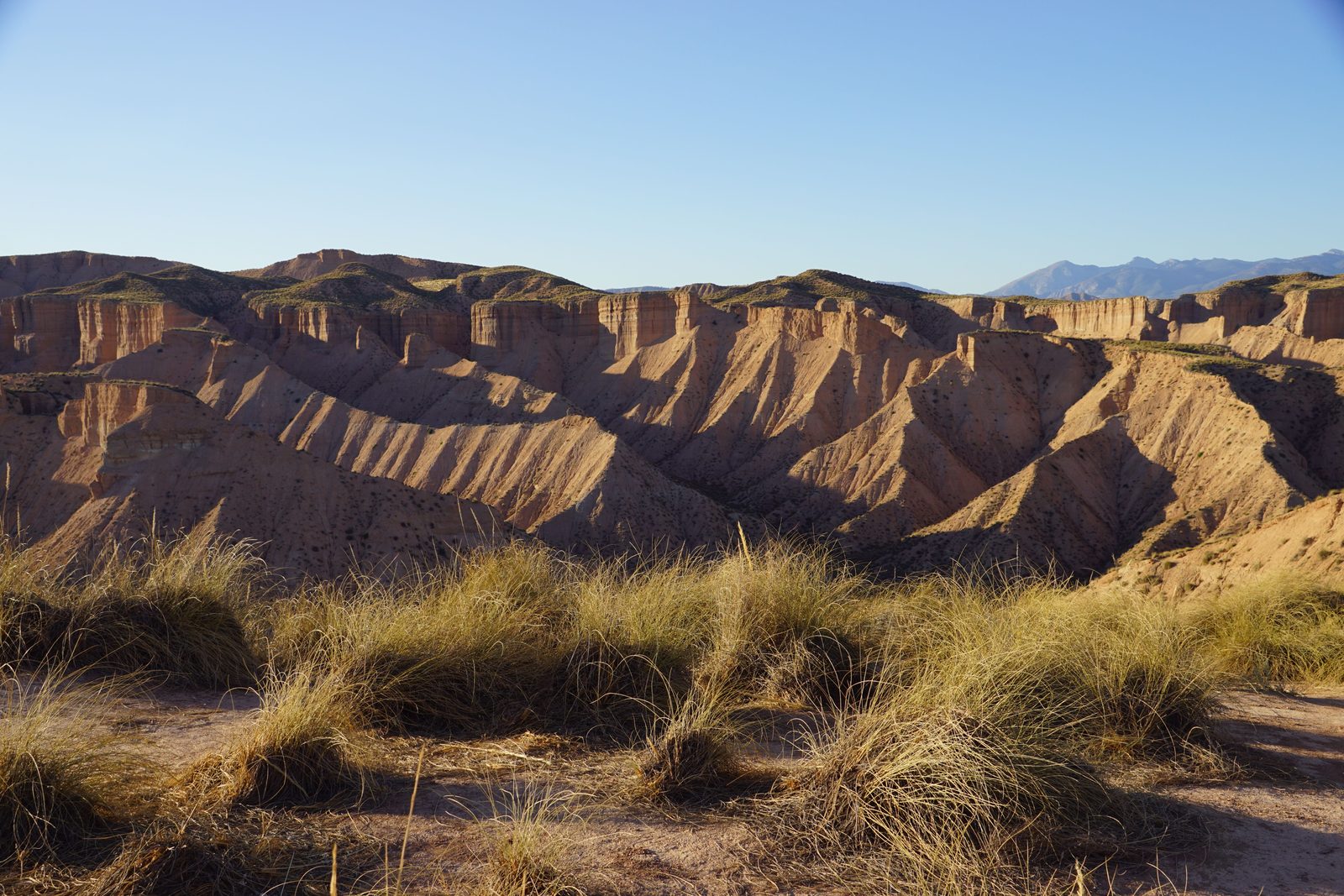 Paesaggio di badlands andaluse vicino a Guadix con canyon di terra rossa e pinnacoli erosi