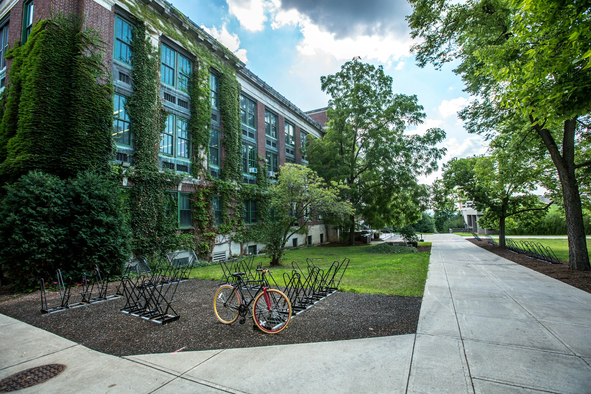 Student housing, palestra e wellness