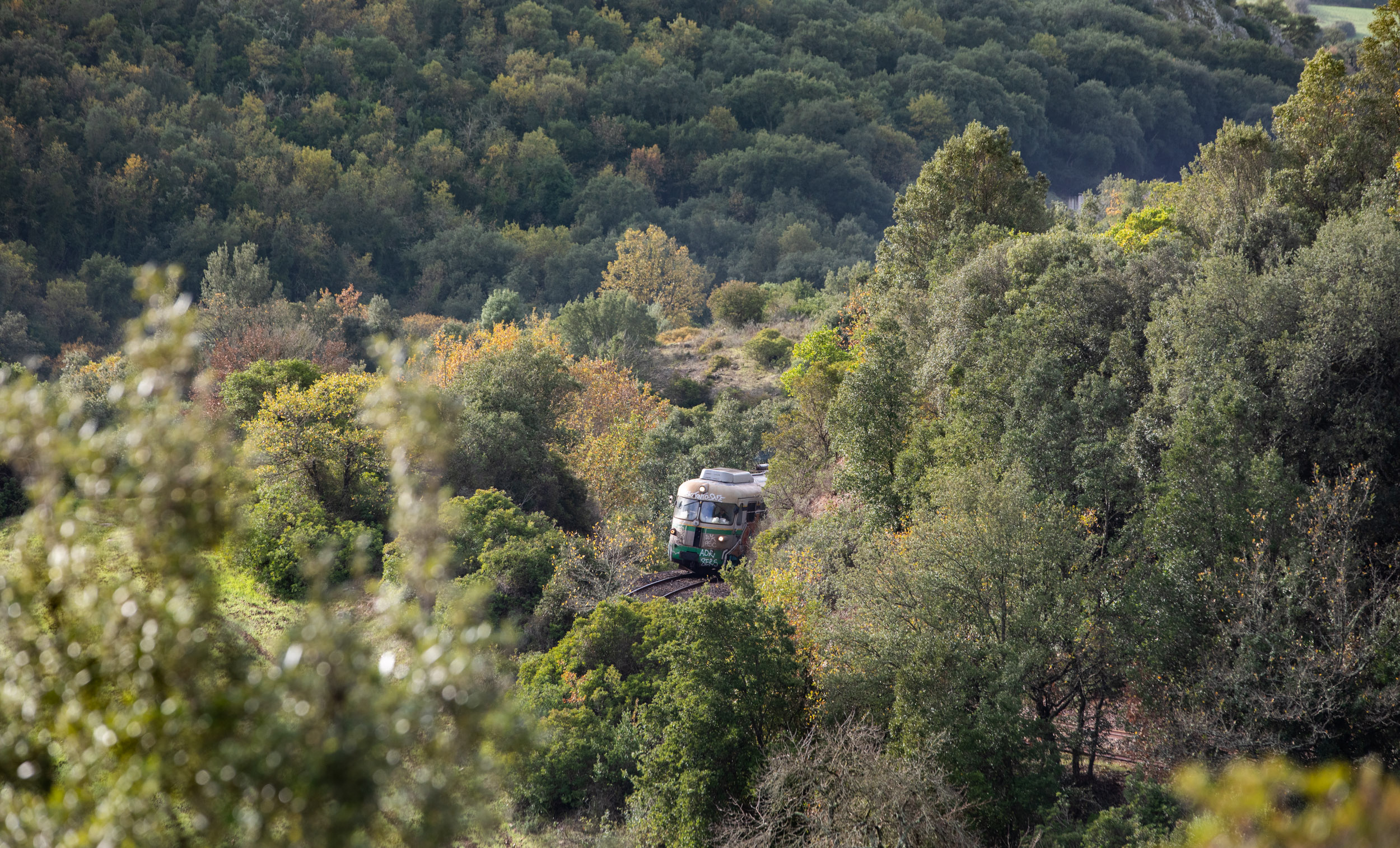 trenino-verde-sardegna