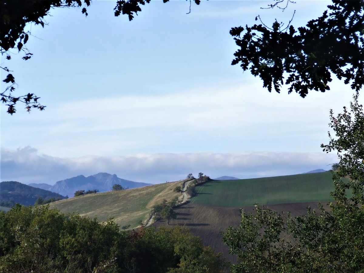 vernasca-colli-emilia