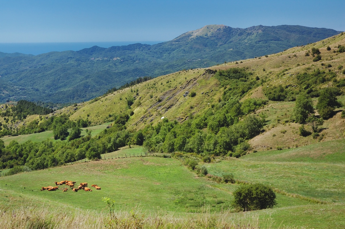 Alta Val Taro e Val Ceno - Albareto - Credit Nemesia Studio (2)