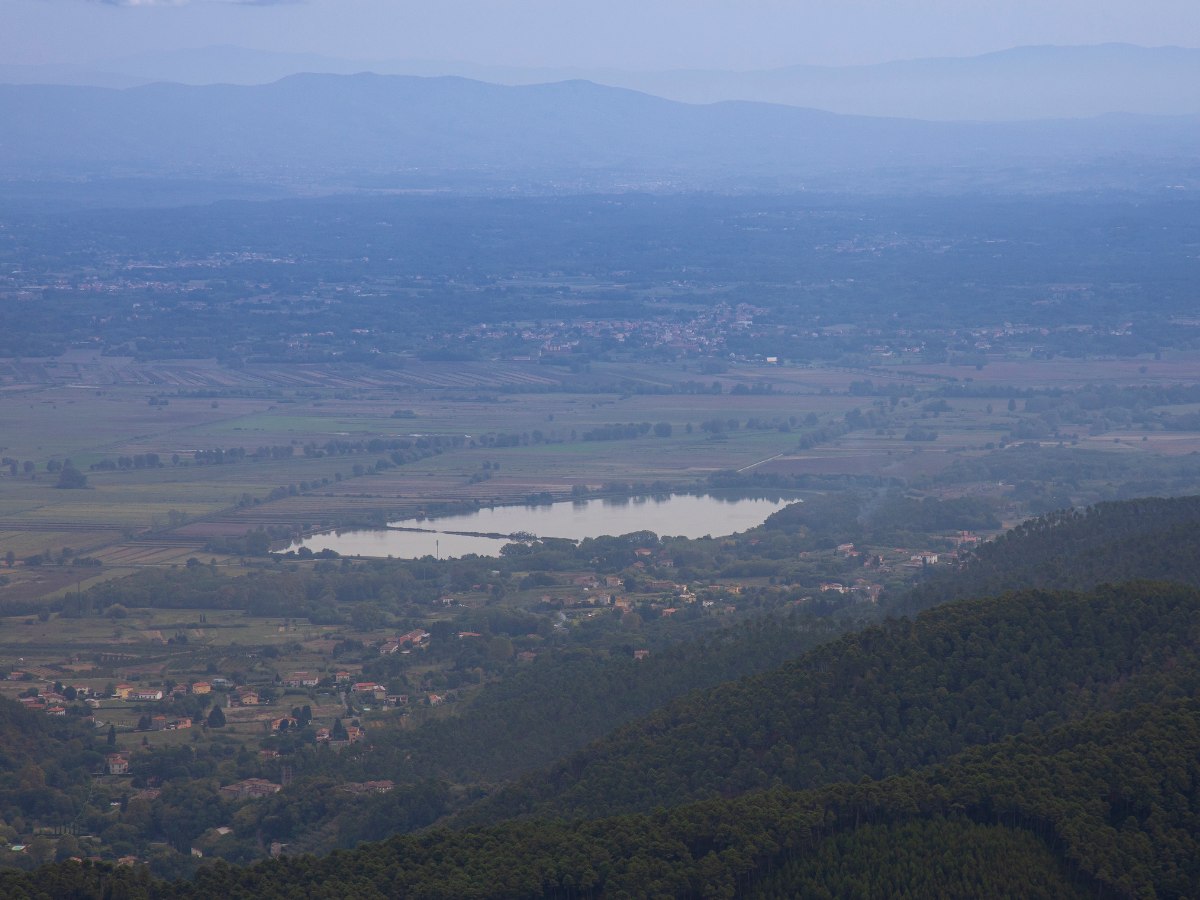 La zona di Capannori