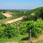 Langhe-Roero-Monferrato