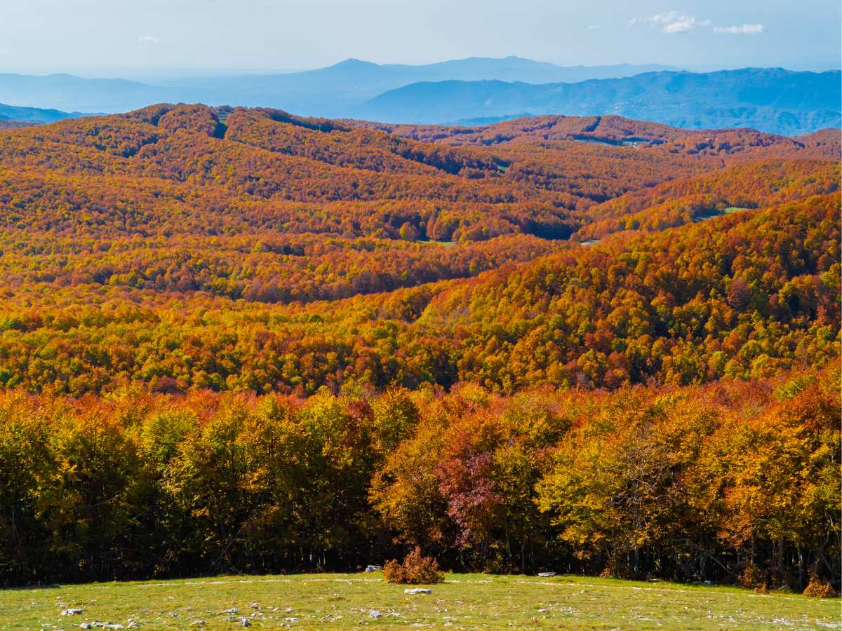 Il Monte Livata in autunno