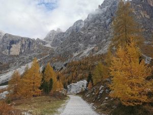 Pian dei Casoni - Val Venegia 2 copia