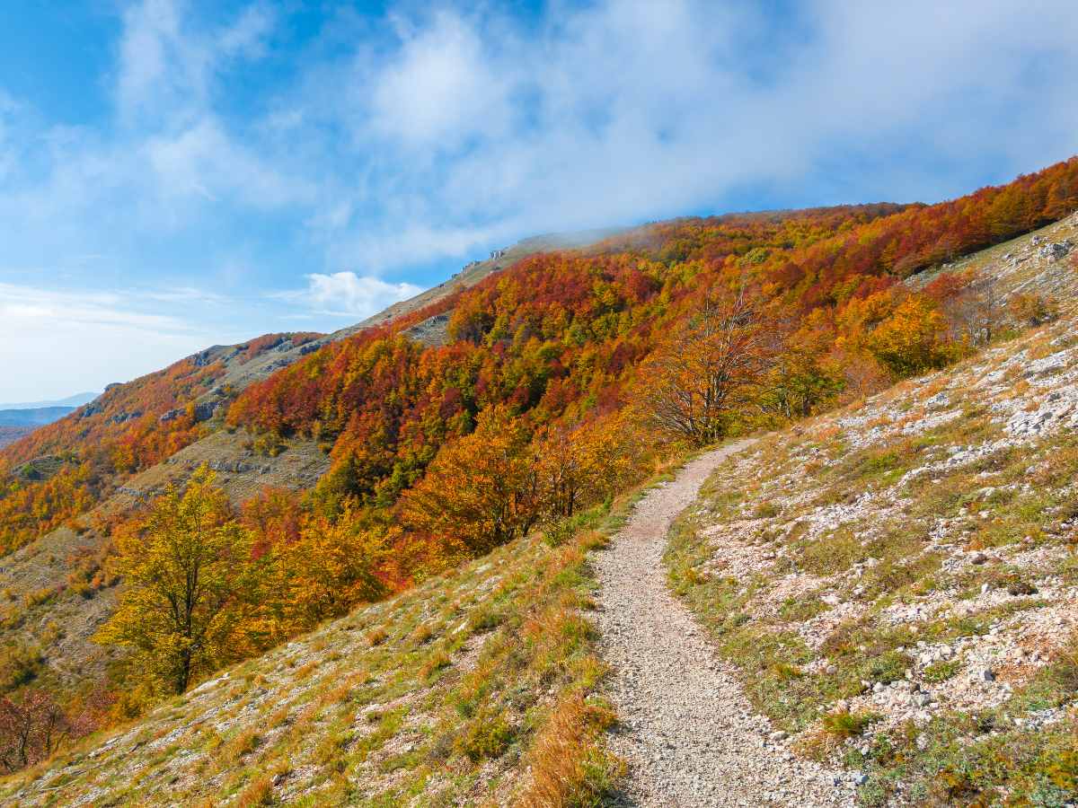 Sentieri di Monte Livata, Lazio