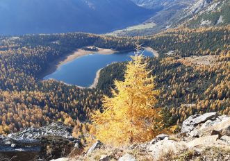 laghi-valtellina-autunno