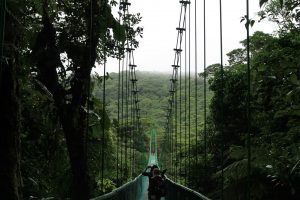 Questa foresta vive dentro una nuvola: Monteverde in Costarica