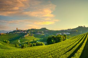 barbaresco-borgo