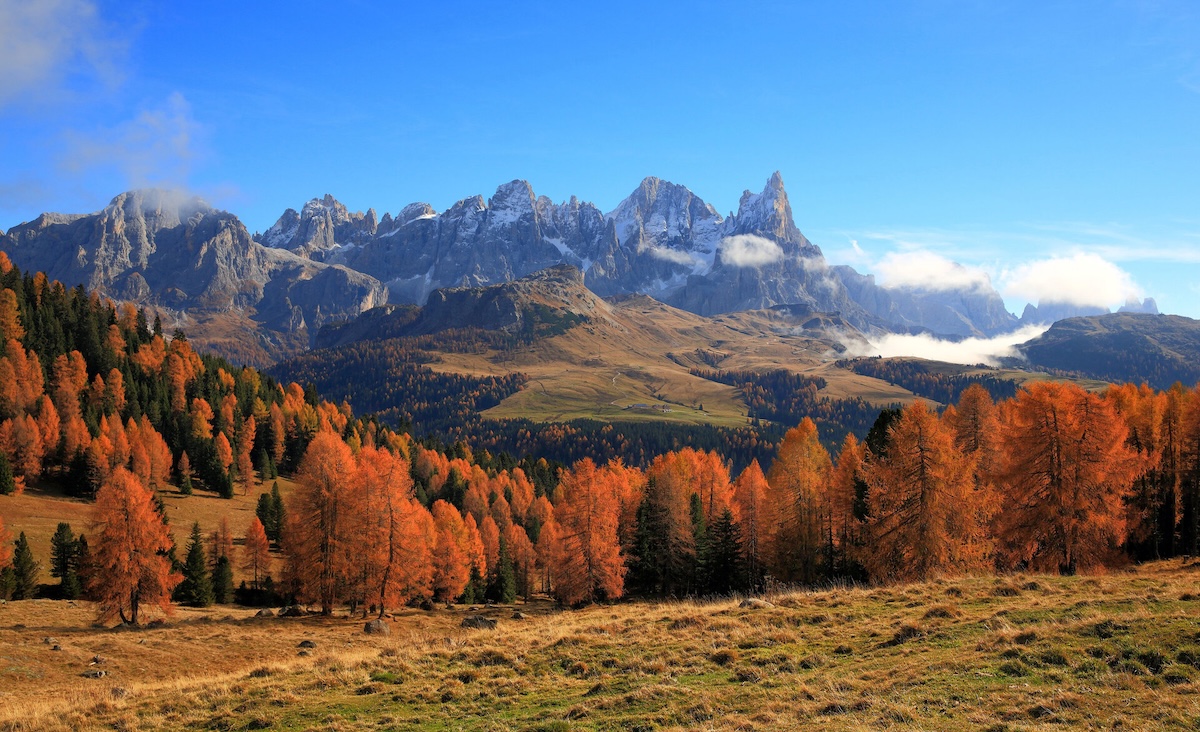 cembra-autunno-foliage-trentino