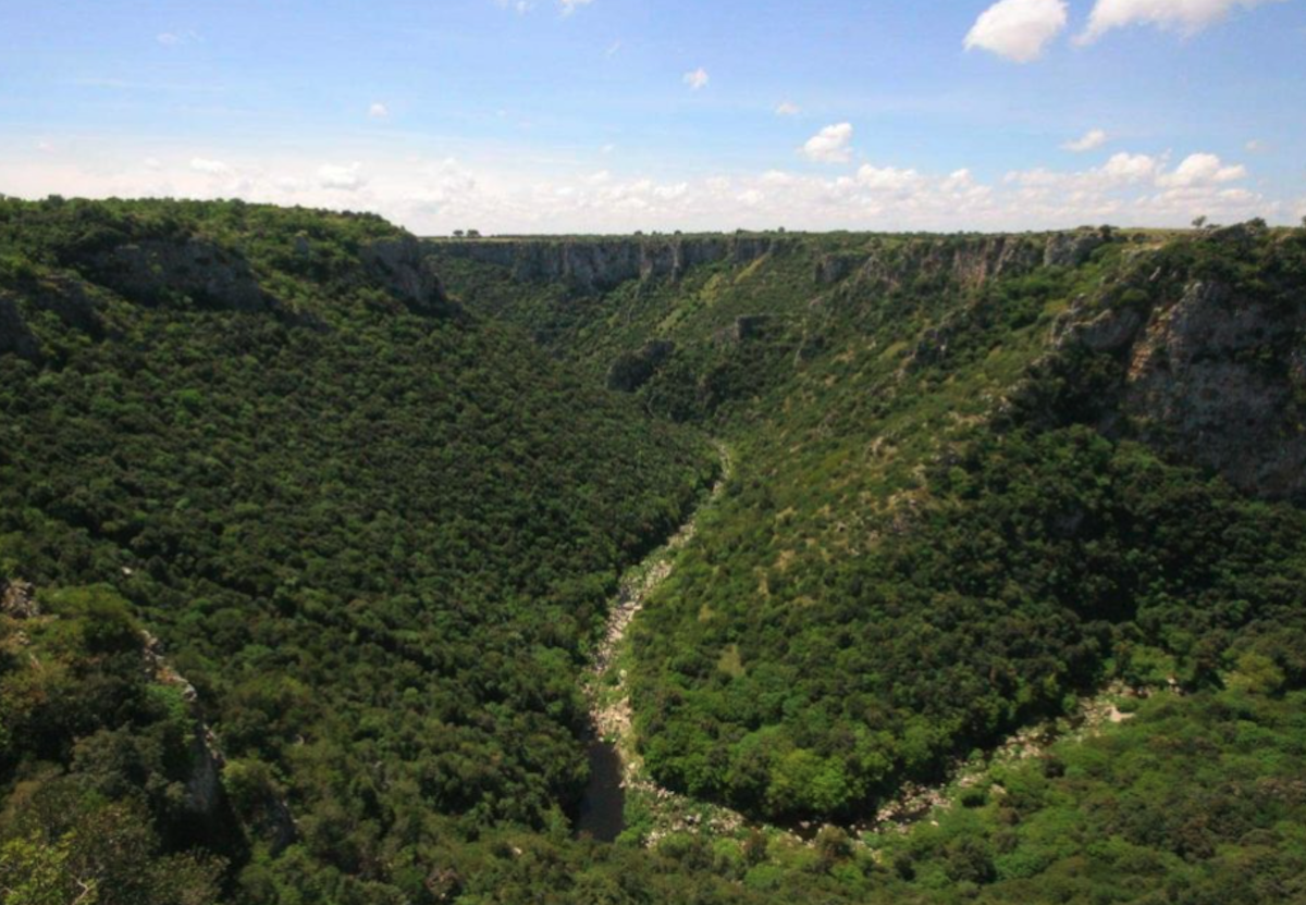 gravina-laterza
