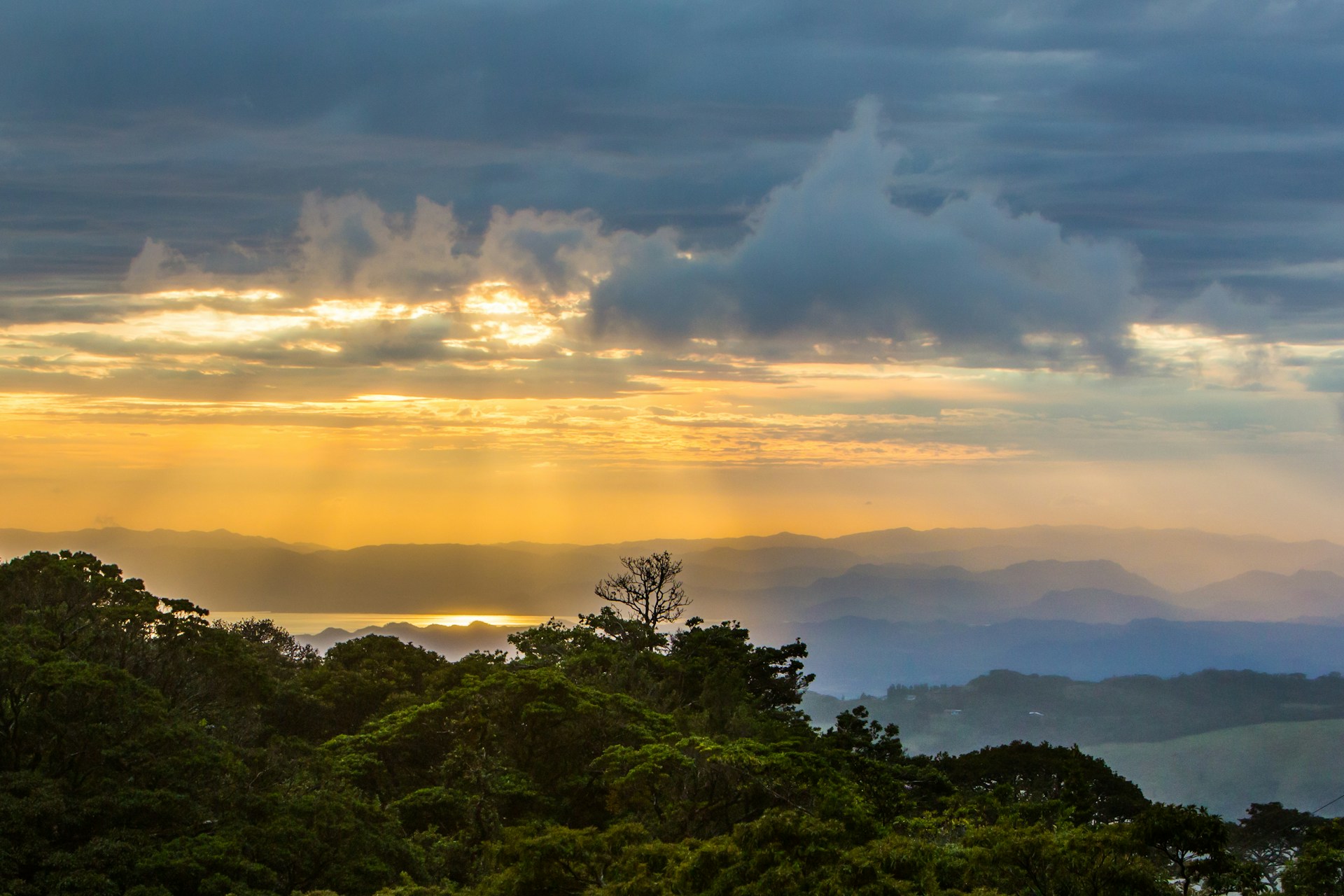 Questa foresta vive dentro una nuvola: Monteverde in Costarica