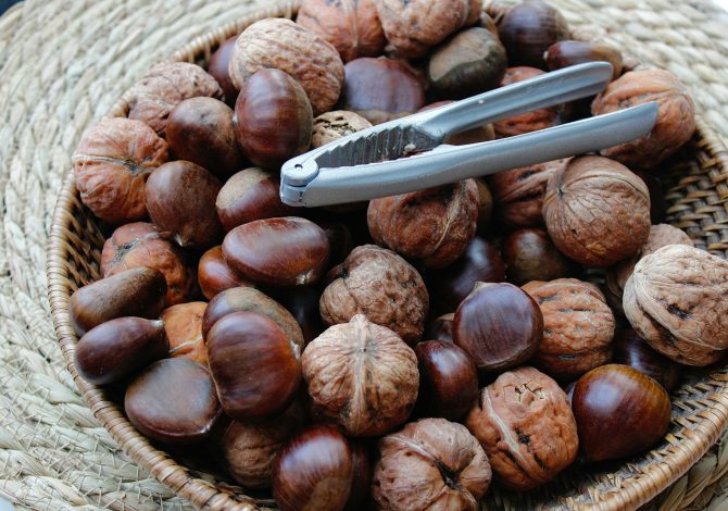 castagne più buone in Piemonte