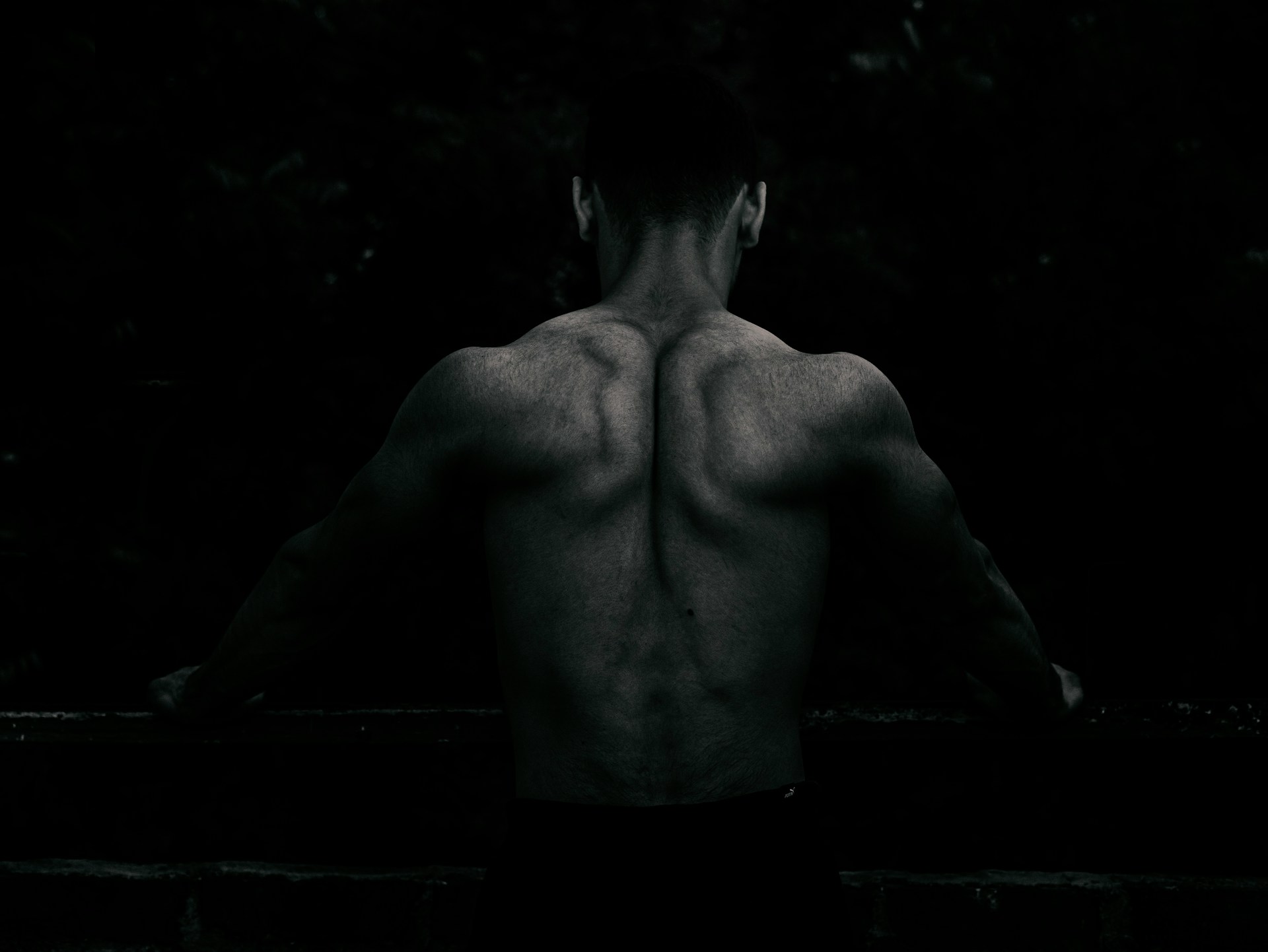Fitness network: Performance, Price e "Pontormo"