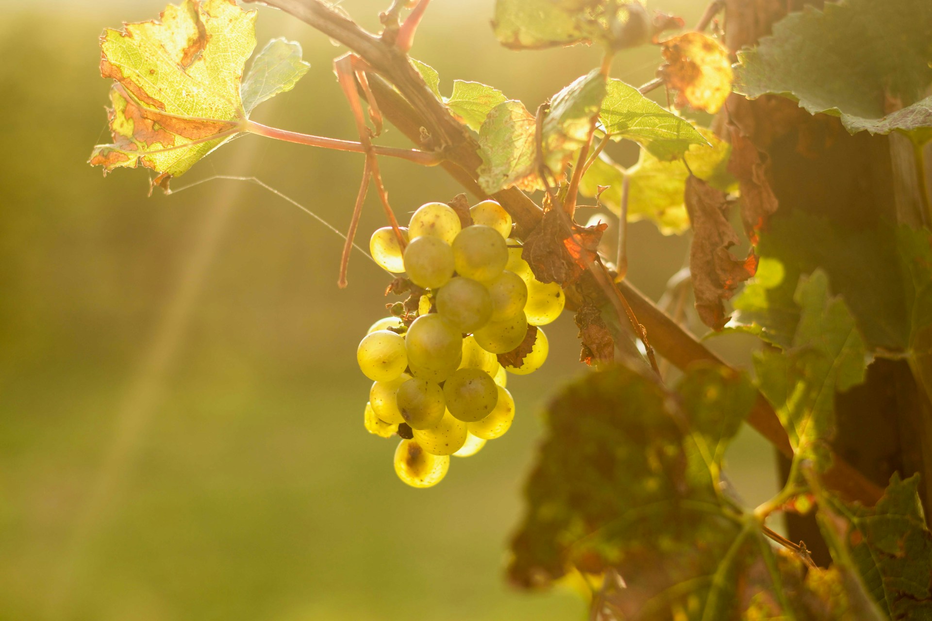 5 gite in Lombardia a vivere la magia del foliage prima che arrivi l’inverno