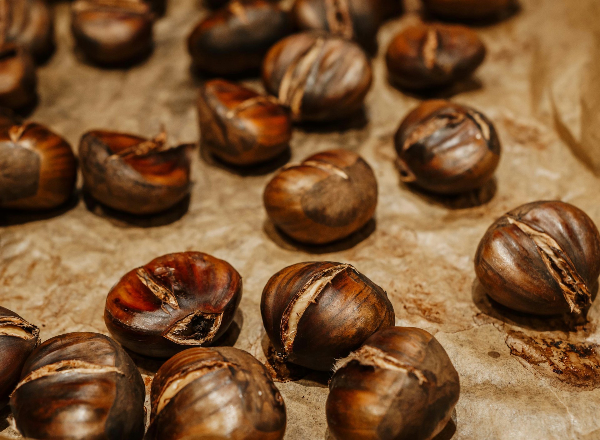 Le castagne più buone in Lombardia: le gite nei boschi dove raccoglierle da fare questo autunno