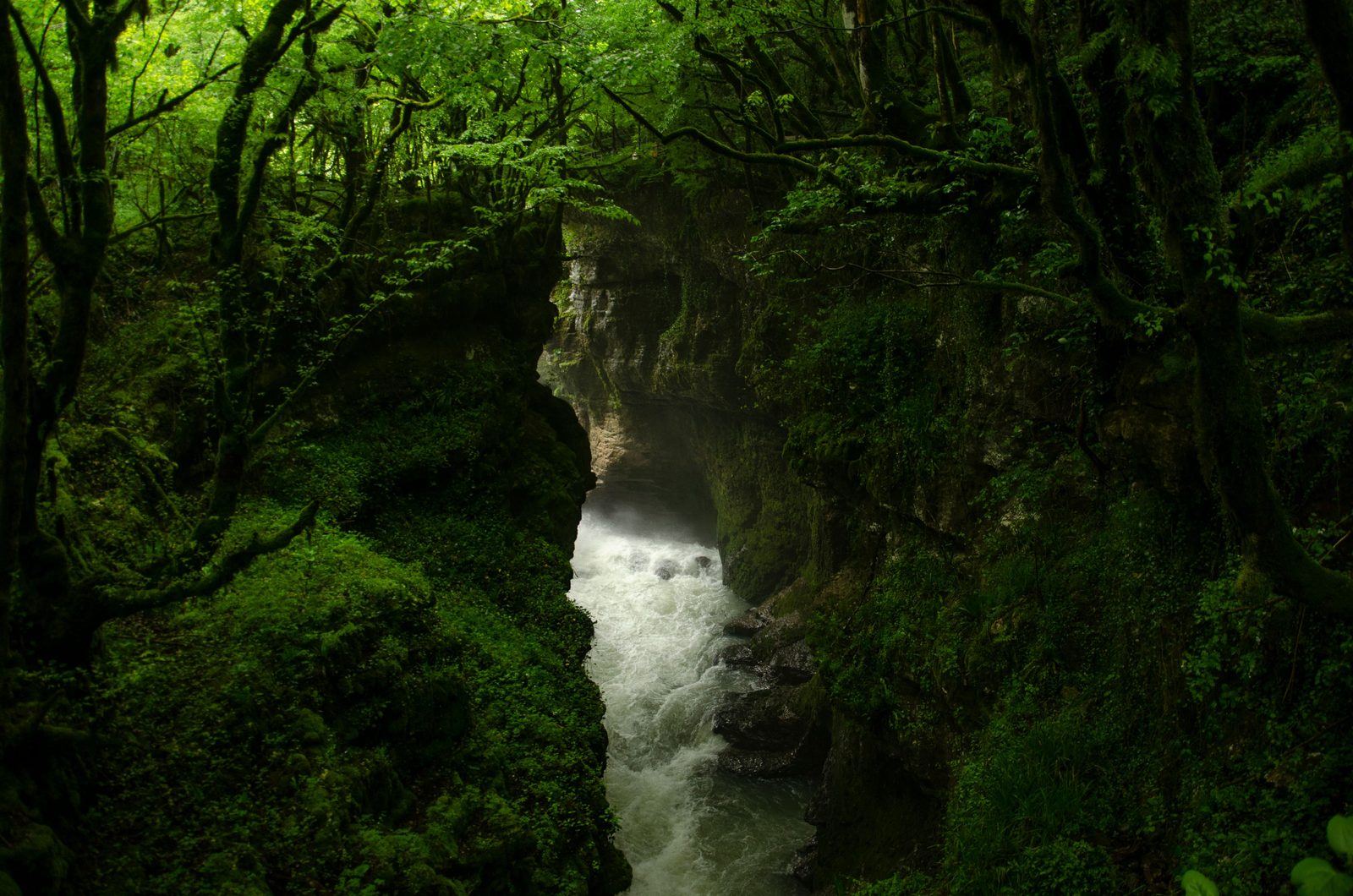 Gole calcaree con torrente e vegetazione fitta nelle montagne abruzzesi