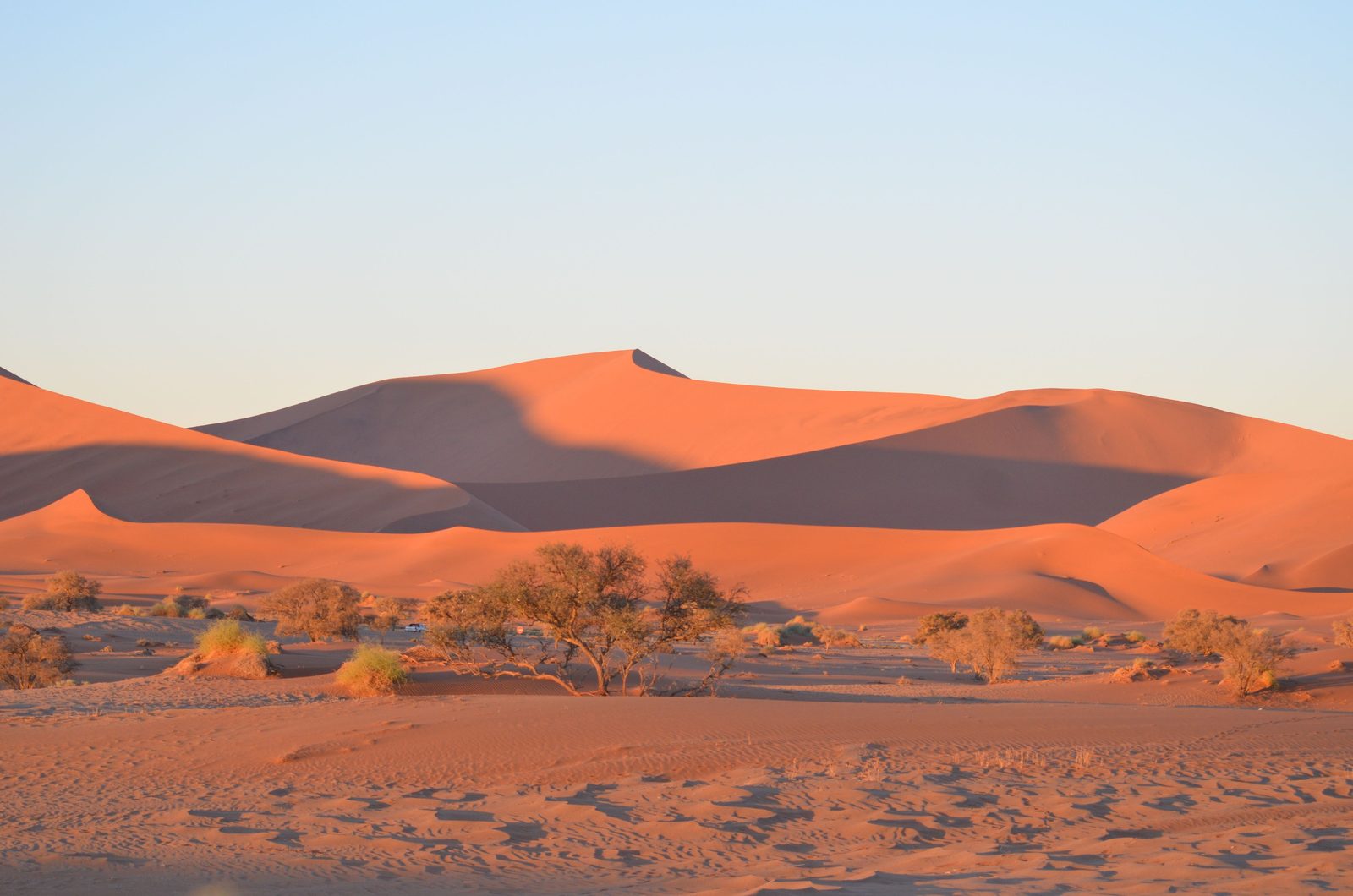 Dune rosse di Sossusvlei al tramonto con lunghe ombre sulla sabbia Dune rosse di Sossusvlei al tramonto con lunghe ombre sulla sabbia