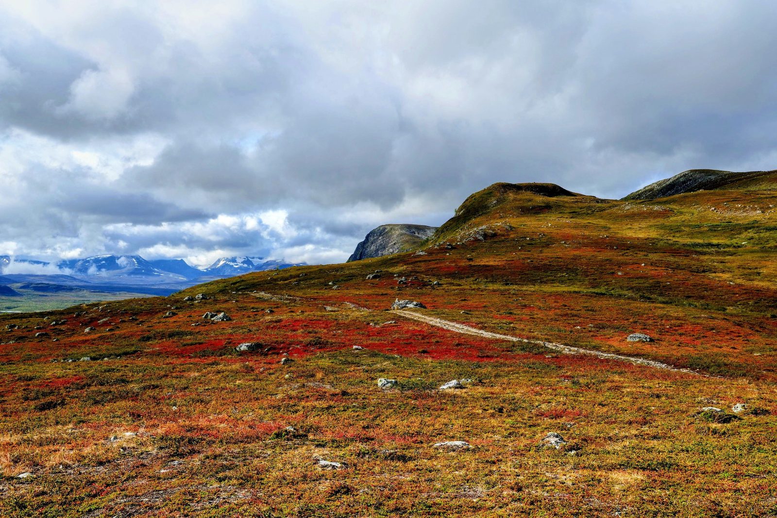 Panorama di tundra lappone con lago e vegetazione autunnale rossa e arancione Panorama di tundra lappone con lago e vegetazione autunnale rossa e arancione