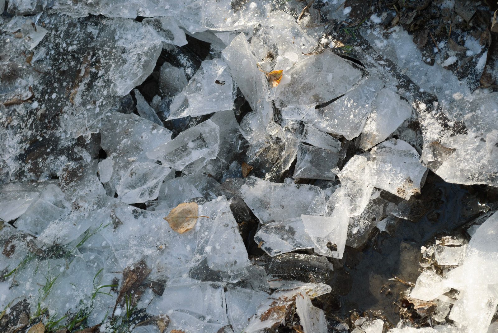 Suolo artico con crepe e subsidenza causate dallo scioglimento del permafrost Suolo artico con crepe e subsidenza causate dallo scioglimento del permafrost