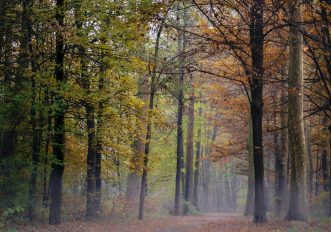5 gite in Lombardia a vivere la magia del foliage prima che arrivi l’inverno