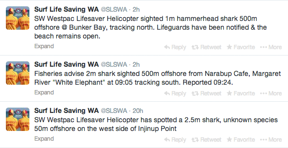 sharktweets2